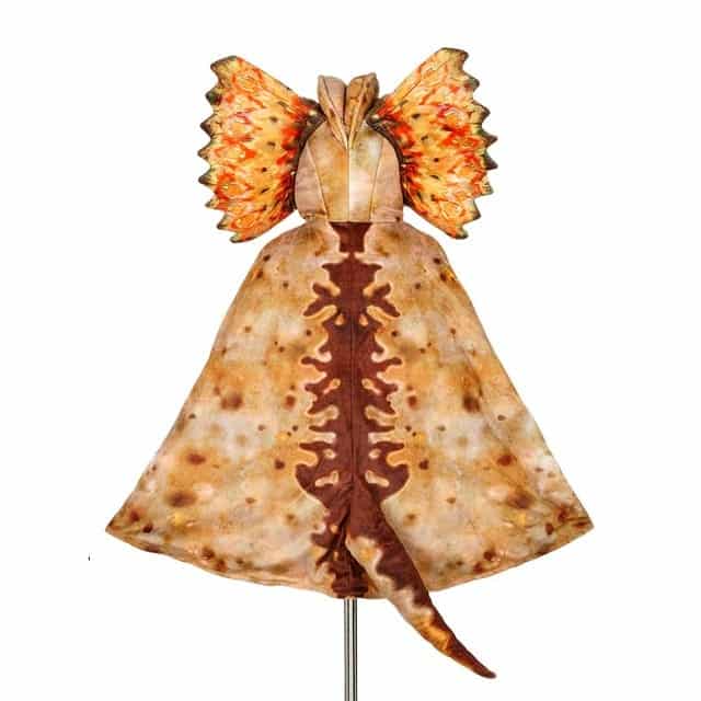 Dilophosaurus dinosaurus cape met gevlekte vleugelkraag, capuchon en lange staart, plat uitgestald op een witte achtergrond.