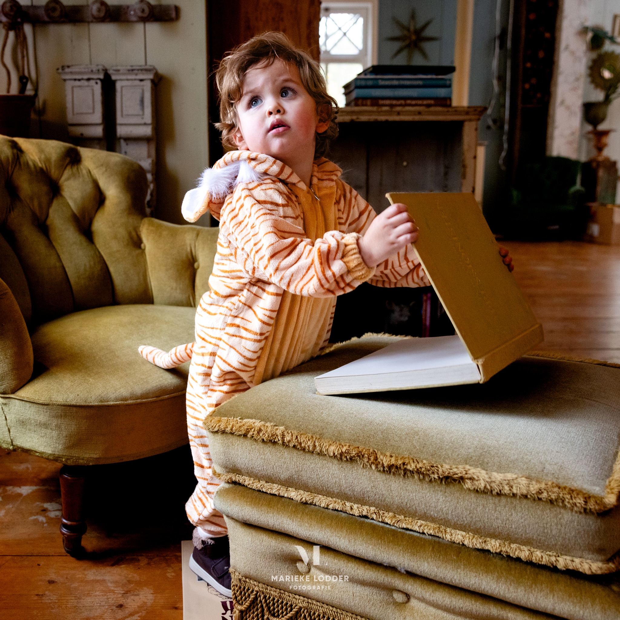 Kind draagt een tijger onesie met oranje vacht, donkere strepen en staart, terwijl het een boek opent