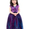 Meisje draagt een paarse prinsessenjurk met glanzend lijfje, blauwe rand en tule rok met blauwe versiering